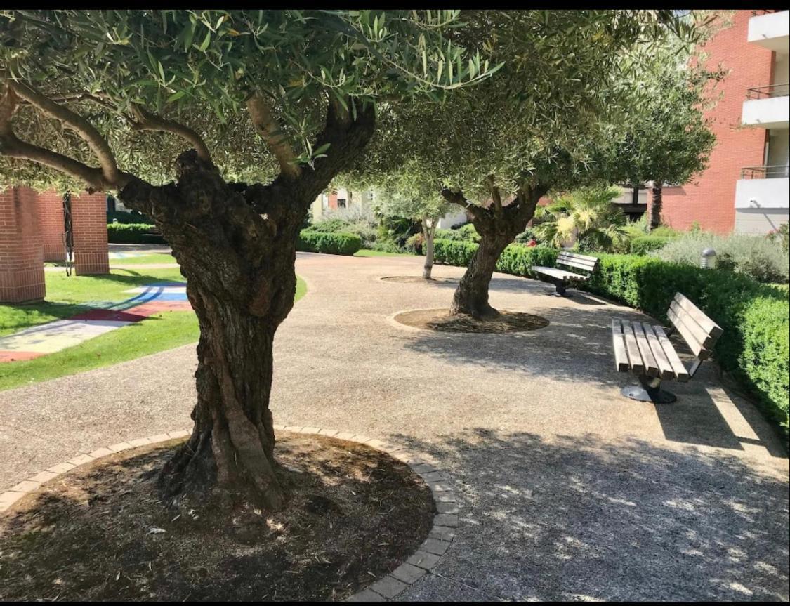L Oasis studio proche hôpital et aéroport Piscine Parking &Netflix Toulouse Extérieur photo